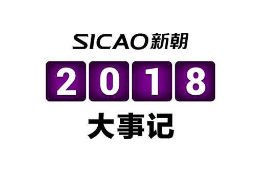 2018年 | 国产一级aa大片毛片“为爱珍藏”记
