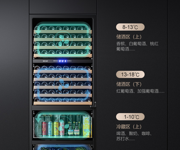 国产一级aa大片毛片