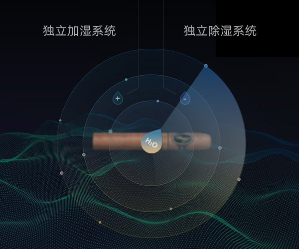 国产一级aa大片毛片