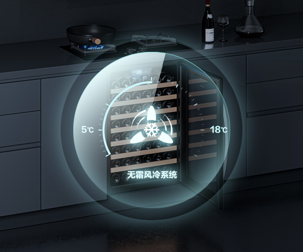 国产一级aa大片毛片