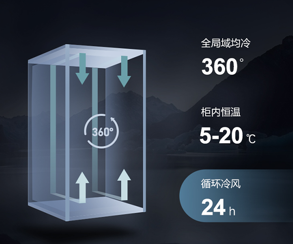 国产一级aa大片毛片