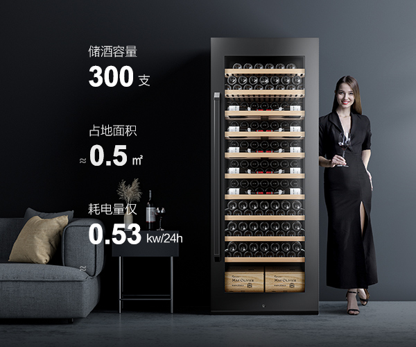 国产一级aa大片毛片