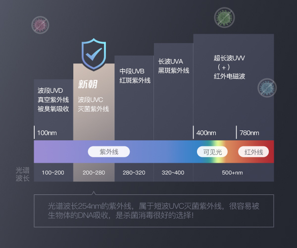 国产一级aa大片毛片