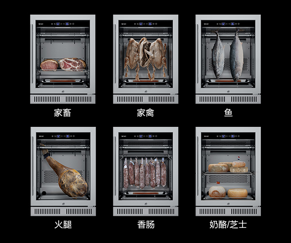 国产一级aa大片毛片
