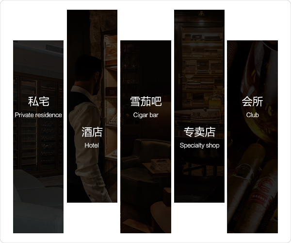 国产一级aa大片毛片