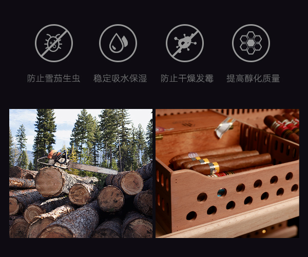 国产一级aa大片毛片