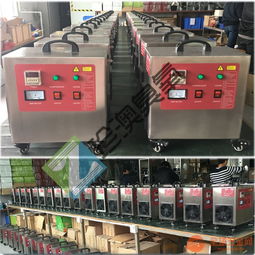 迷你家用除甲醛臭氧发生器食品车间制药厂汽车美容去味杀菌消毒机